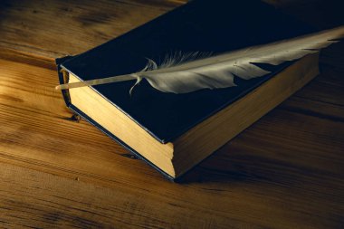feather on book on the wooden table