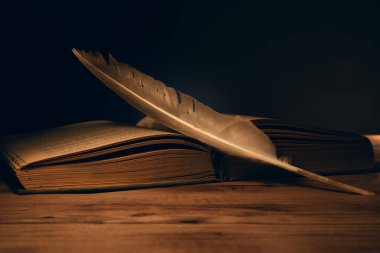 feather on book on the wooden table