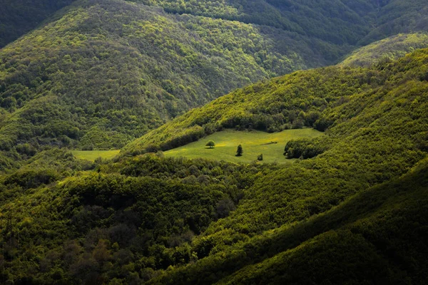 Зеленая Трава Горах Скалах Фон — стоковое фото