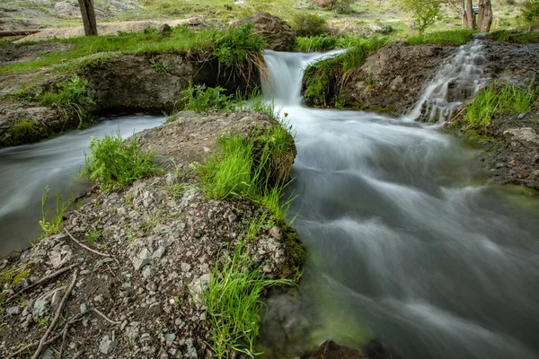 Красивий Водоспад Фоні Зеленого Лісу — стокове фото