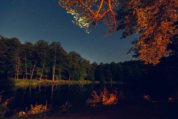 Jezero Les Pod Hvězdami Pozadí — Stock fotografie