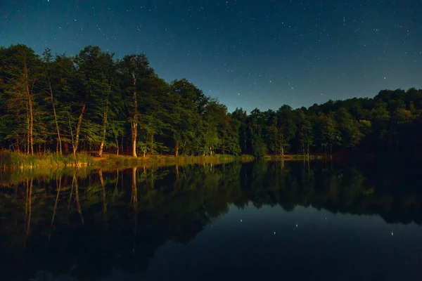 별들의 배경을 이루는 호수와 — 스톡 사진