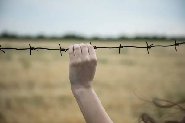woman hand  barbed wire in filed background