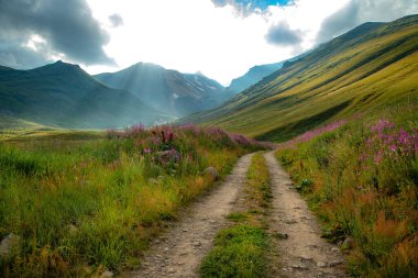 Çiçekler ve yol manzaralı dağda