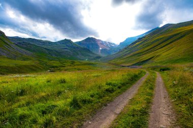 Yeşil çimen dağında yol