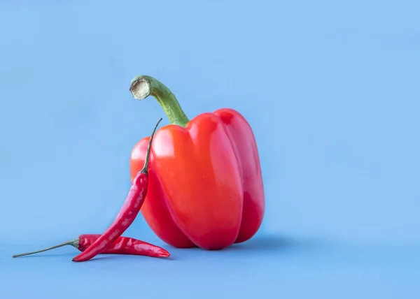 Mavi arka planda İspanyol biberi ve kırmızı biber, yakın plan, mesaj için yer. Acı biber. kırmızı biber