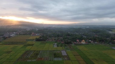 Sabahın köründe kırların ve ağaçların havadan görünüşü.