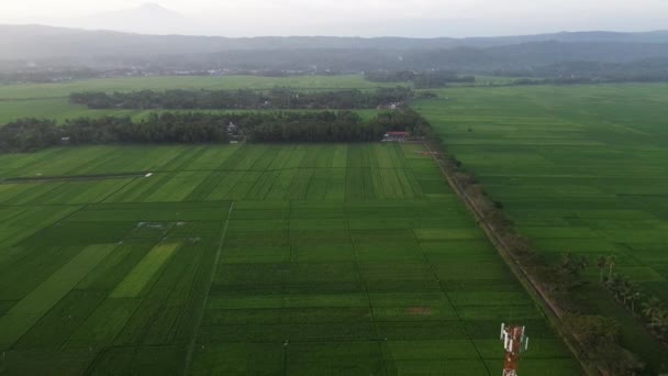 2023年7月29日 印度尼西亚中部爪哇Banyumas 从空中俯瞰农村 — 图库视频影像