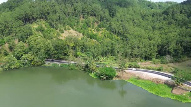 Imagens Aéreas Drones Tráfego Uma Estrada Meio Entre Floresta Rio — Vídeo de Stock