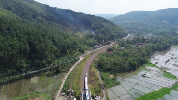 4K空中ドローンビュー 木々や村々でいっぱいの山間の田んぼの鉄道線路を通る列車の映像 — ストック動画