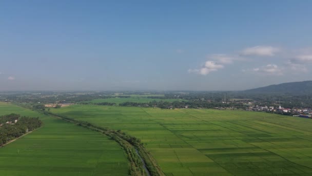 Αεροφωτογραφία Drone Του Καταπράσινους Ορυζώνες Και Χωριά Στην Ινδονησία — Αρχείο Βίντεο