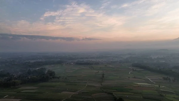 Arkaplanda Merapi Dağı ve Merbabu Dağı ile sisli bir gün doğumu ve Endonezya 'daki pirinç tarlalarında ve ağaçlarda sabah sisi.