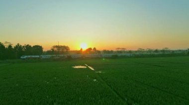 Tren pirinç tarlaları ve ağaçlar arasındaki rayları gün batımında geçer.