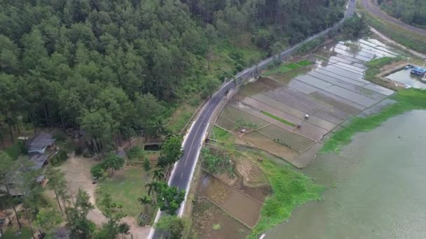 Drone Zicht Weg Tussen Groene Bossen Serayu Rivier Indonesië — Stockvideo