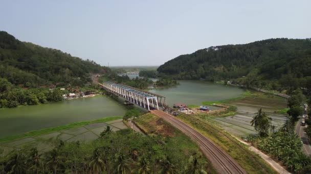 Train Passing Railway Bridge Serayu River Green Forest Background — Stock Video