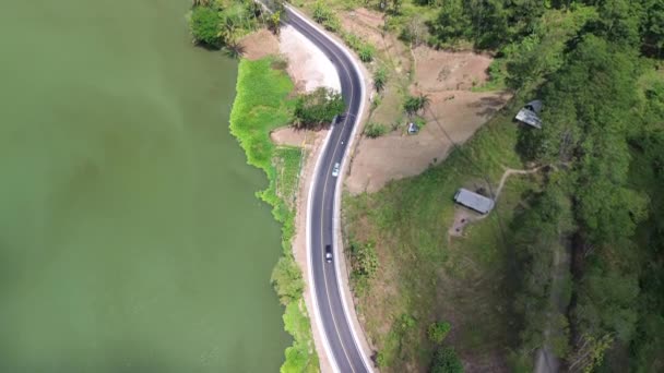 Vista Aérea Del Dron Carretera Entre Río Serayu Los Árboles — Vídeo de stock