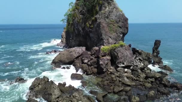 Tropische Stranden Met Koraalkliffen Prachtige Golven Samen Met Groene Bomen — Stockvideo