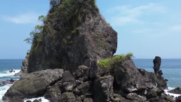 热带海滩 有珊瑚悬崖和美丽的海浪 还有绿树 没有游客和访客 — 图库视频影像