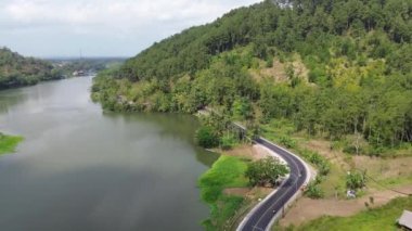 Endonezya 'daki Serayu nehri ile yeşil ormanlar arasındaki yolun insansız hava aracı görüntüsü