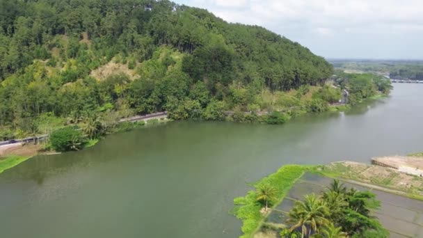 Endonezya Daki Serayu Nehri Ile Yeşil Ormanlar Arasındaki Yolun Insansız — Stok video