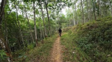 Yeşil bir ormanda dağ bisikleti kullanan bir adam.