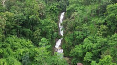Curug Gemawang ya da Gemawang şelalesinin ve Endonezya 'daki orman ağaçlarının ortasındaki nehrin insansız hava görüntüsü.