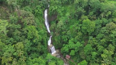 Curug Gemawang ya da Gemawang şelalesinin ve Endonezya 'daki orman ağaçlarının ortasındaki nehrin insansız hava görüntüsü.