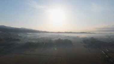 Ricefield 'da sabah vakti