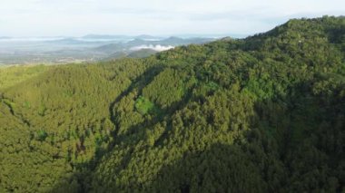 Güneşli bir günde arka planda sis ve bulutlarla orman tepelerinin ve ağaçların insansız hava aracı görüntüsü