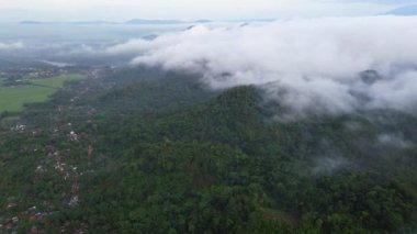 Ağaçların ve ormanın yukarıdaki dramatik sabah sisi ile hava aracı görüntüsü