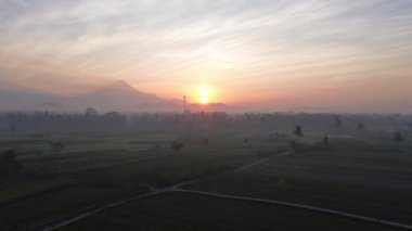Merapi Dağı, Magelang, Endonezya 'nın arka planında pirinç tarlalarında sabah güneşi doğuyor.