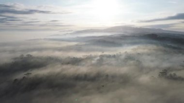 Güneşin tepeden doğuşunun dramatik görüntüsü ve sabah sisli orman ağaçları arasındaki ışınlar.