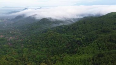 Dağlardaki tepelerin, yemyeşil ormanların ve ağaçların sabahları sisli görüntüsü.