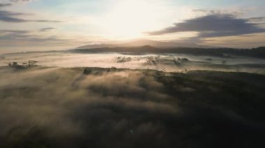 Güneşin tepeden doğuşunun dramatik görüntüsü ve sabah sisli orman ağaçları arasındaki ışınlar.