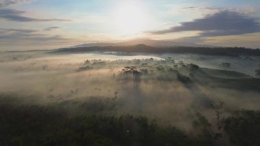 Sabahın sisi ve ağaçların arasındaki güneş ışığıyla tepenin ardında dramatik gün doğumunun drone görüntüsü