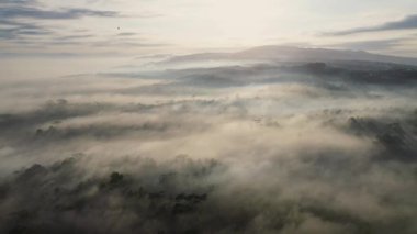 Sabahın ilk ışıklarıyla ağaçlar arasında güneş ışığı ve tepelerin ve bulutların olduğu dramatik sabah sisi.