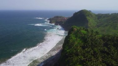 Denizi çevreleyen Hindistan cevizi ağaçları, mercan resifleri ve okyanus dalgalarıyla dolu bir tepenin drone görüntüsü.