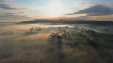 Sabahın ilk ışıklarıyla ağaçlar arasında güneş ışığı ve tepelerin ve bulutların olduğu dramatik sabah sisi.