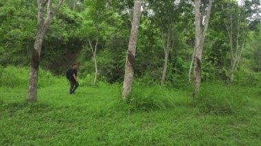 Sırt çantası taşıyan bir yürüyüşçü ormanın ortasında yemyeşil ağaçların arasında yürüyor.
