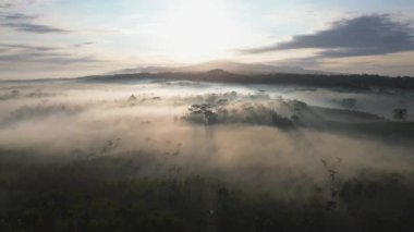 Sabahın sisi ve ağaçların arasındaki güneş ışığıyla tepenin ardında dramatik gün doğumunun drone görüntüsü