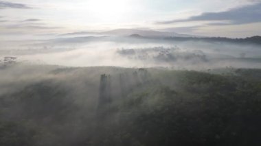 Drone point of view flying over the fog over the forest and trees with the sunrise at golden hour and hills in the morning in the background