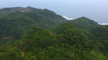 Drone view of Jerit hill Kebumen Indonesia, the seaside with beautiful hills and green trees, coral rocks, waves and ocean clipart