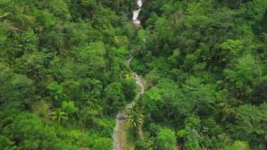 Curug Gemawang ya da Gemawang Şelalesi Kebumen Endonezya, Endonezya 'da bir şelaledir..