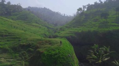 Sabahları yemyeşil çimenler ve ağaçlarla tepelerin arasında yürüyen bir adamın robot görüntüsü.