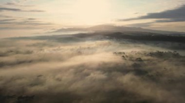 Sabahları sislerin ve ağaçların üzerinde uçan insansız hava aracı tepelerin ve dağların arka planında ve sabahları dramatik bir gündoğumuyla birlikte.