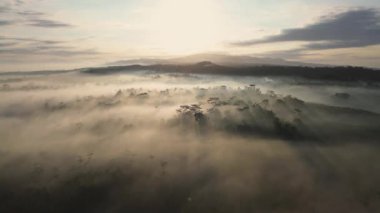 Sabahları sislerin ve ağaçların üzerinde uçan insansız hava aracı tepelerin ve dağların arka planında ve sabahları dramatik bir gündoğumuyla birlikte.