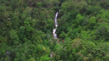 Curug Gemawang, Kebumen, Central Java, Endonezya, ağaçların ortasındaki şelale ve yeşil bitki örtüsünün insansız hava aracı görüntüsü.