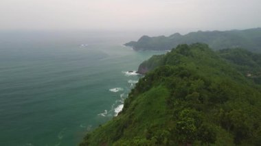 Tepeleri ve ağaçları olan kıyı şeridinin hava aracı görüntüsü, aynı zamanda mercan kayalıkları ve denizden gelen dalgalı deniz manzarası.