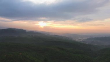 İnsansız hava aracı ağaçların ve ormanların üzerinden uçuyor. Gündoğumu ve tepeler öğleden sonra ve akşam saatlerinde arka plan olarak kullanılıyor.