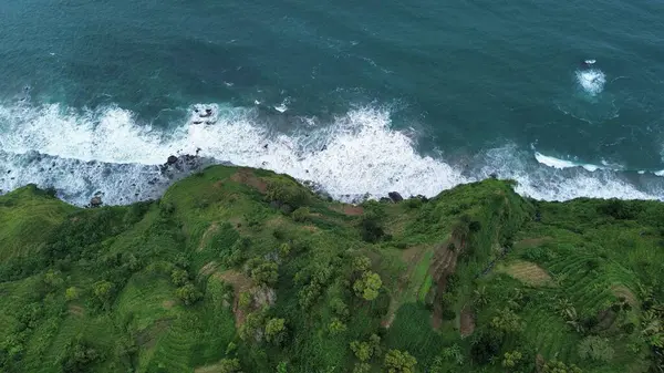 Tepeler ve ağaçlarla dolu kıyı şeridinin hava aracı görüntüsü, aynı zamanda mercan kayalıkları ve deniz manzarası Menganti Beach Kebumen Central Java Endonezya 'dan dalga dalga geliyor.